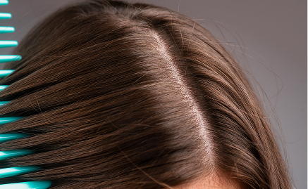The Scalp Is Skin: The Architecture of Longevity