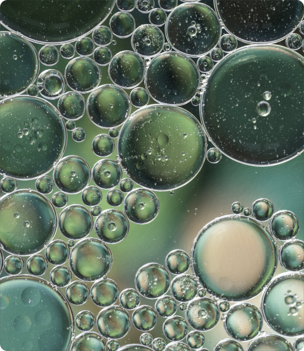 What are Biopolymers?